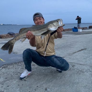 15歳高校生おさDです