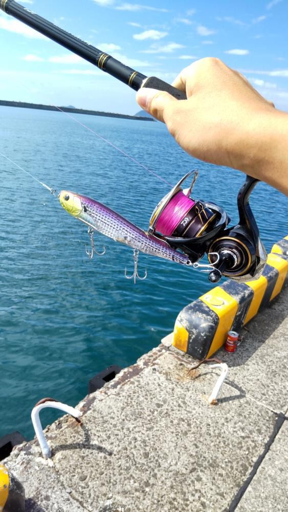 DAIWA 19ラテオ R 93Mの最安値・インプレ・釣果 | 本音の口コミ