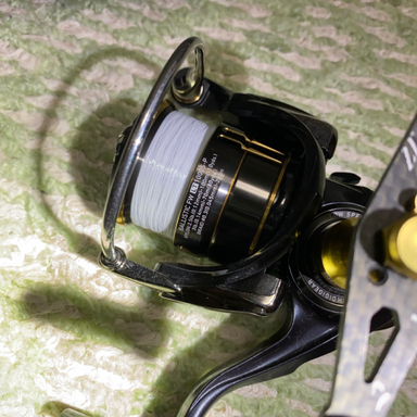 DAIWA BALLISTIC FW LT1000S-P