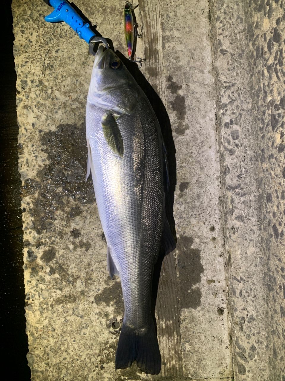 SHIMANO 20ツインパワー 4000PGの最安値・インプレ・釣果 | 本音の