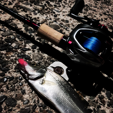 SHIMANO Scorpion 1652R-5