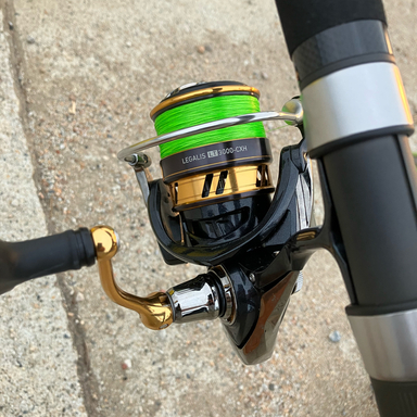 DAIWA LEGALIS LT3000-CXH