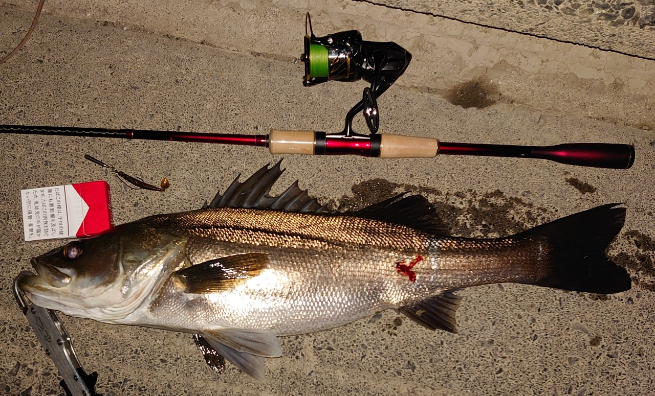 SHIMANO 20ツインパワー 3000MHGの最安値・インプレ・釣果