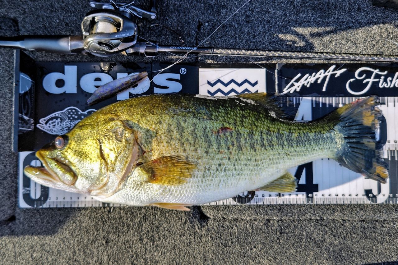 SHIMANO 21ポイズングロリアス 164MHの最安値・インプレ・釣果 | 本音