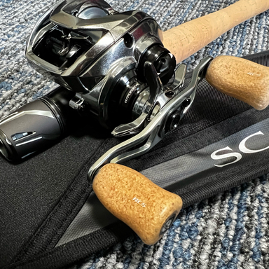 DAIWA STEEZ LIMITED SV TW 1000S 1000S-XHL