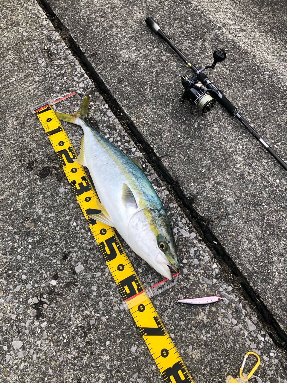 SHIMANO 20ルナミスのインプレ一覧 | 本音の口コミが集まる釣具 SHIMANO 20ルナミスのインプレ一覧 | 本音の口コミが集まる釣具