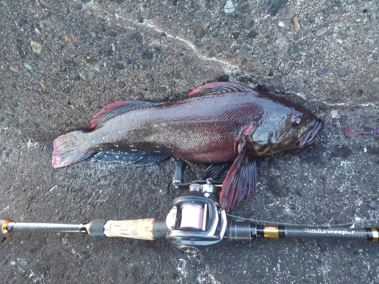 AbuGarcia ロックスイーパー キジハタ NRC-762M-H Kizihata SP MGSの最