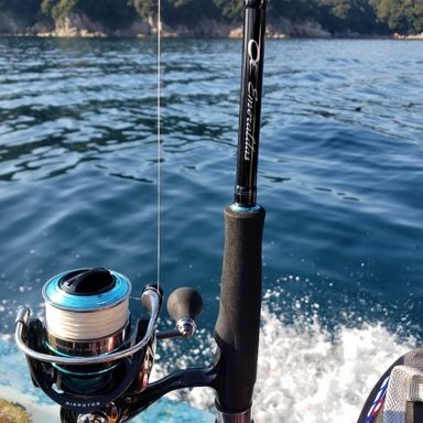 DAIWA 19EMERALDAS LT2500H-HD