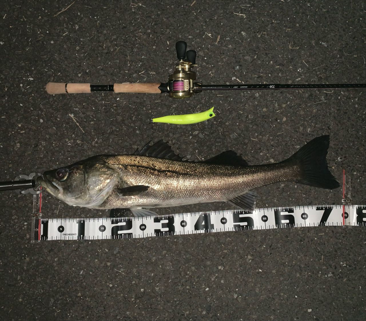 SHIMANO 21カルカッタコンクエスト 201XGの最安値・インプレ・釣果