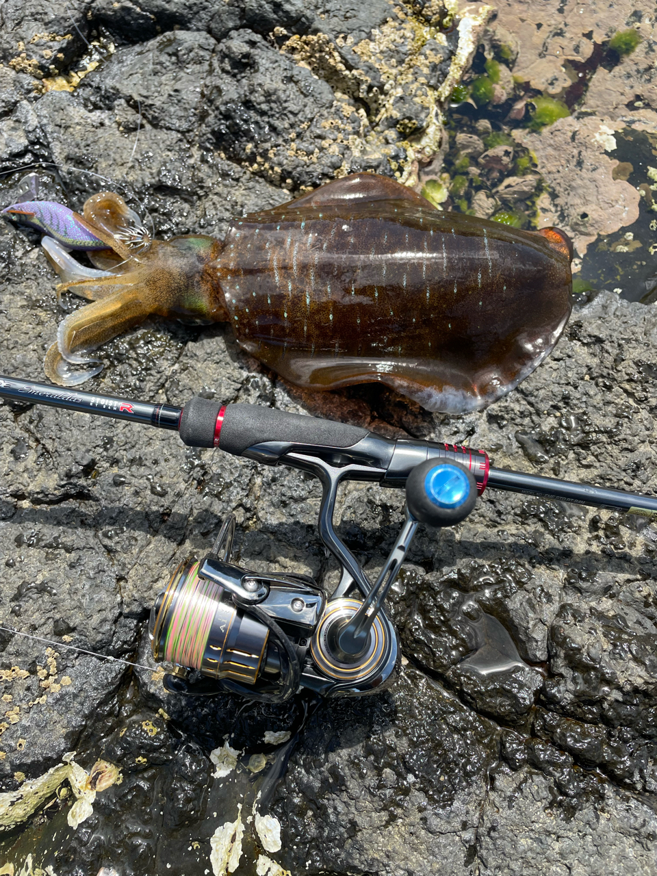 DAIWA 21ルビアス エアリティ FC LT2500S-XH-QDの最安値