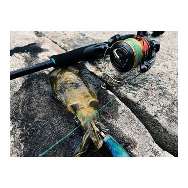 SHIMANO Sephia SS('15) C3000S