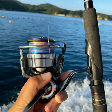 DAIWA CERTATE LT4000-CXH