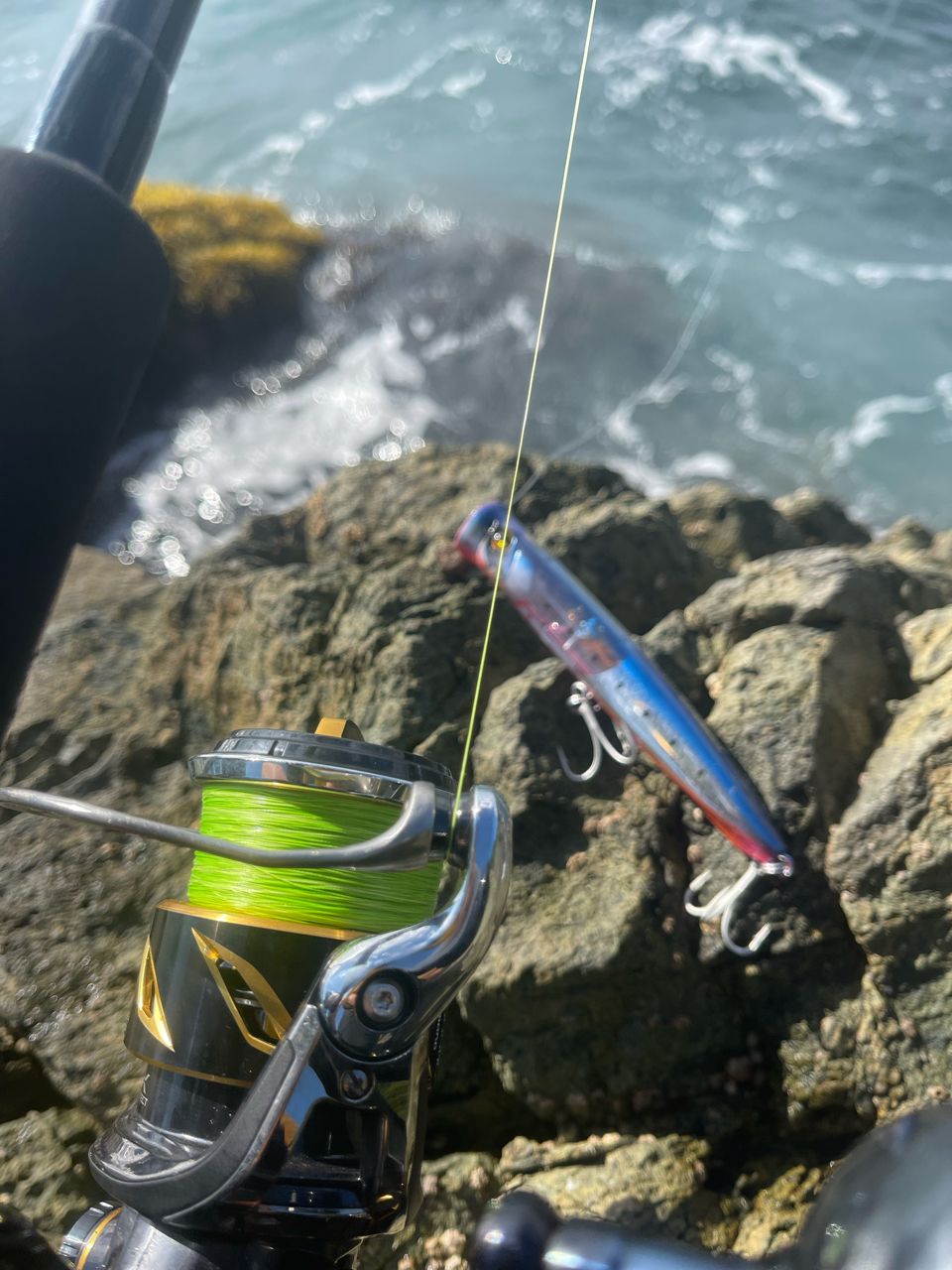SHIMANO 19ステラ SW 5000XGの最安値・インプレ・釣果 | 本音の