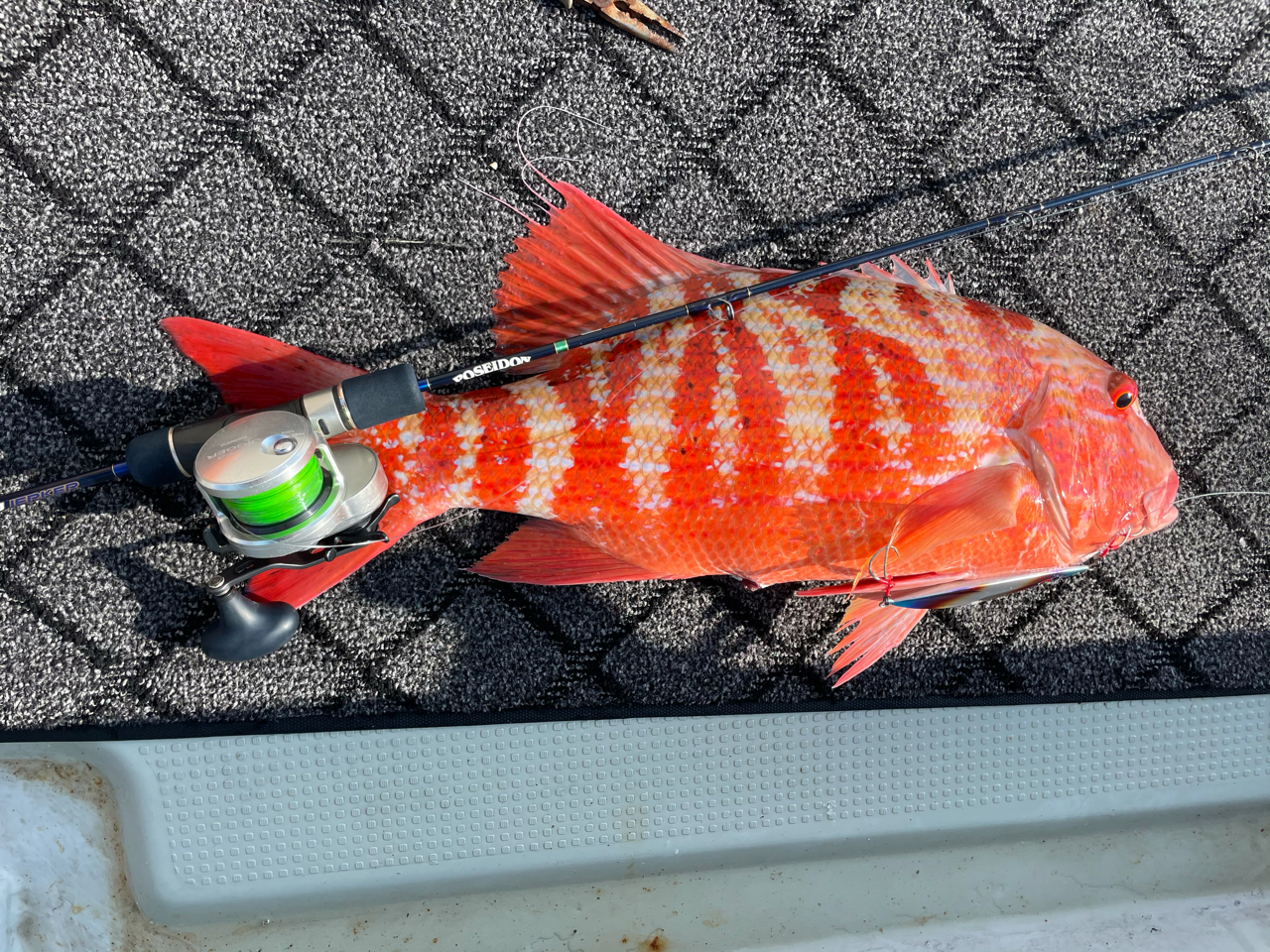 本音の口コミが集まる釣具通販「TACKLE BOX」
