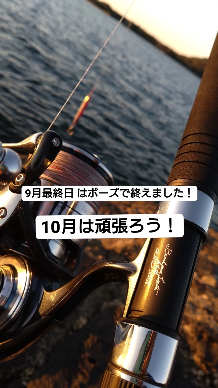 ダイワ セルテート SW 14000-XH (リール) 価格比較 - 価格.com