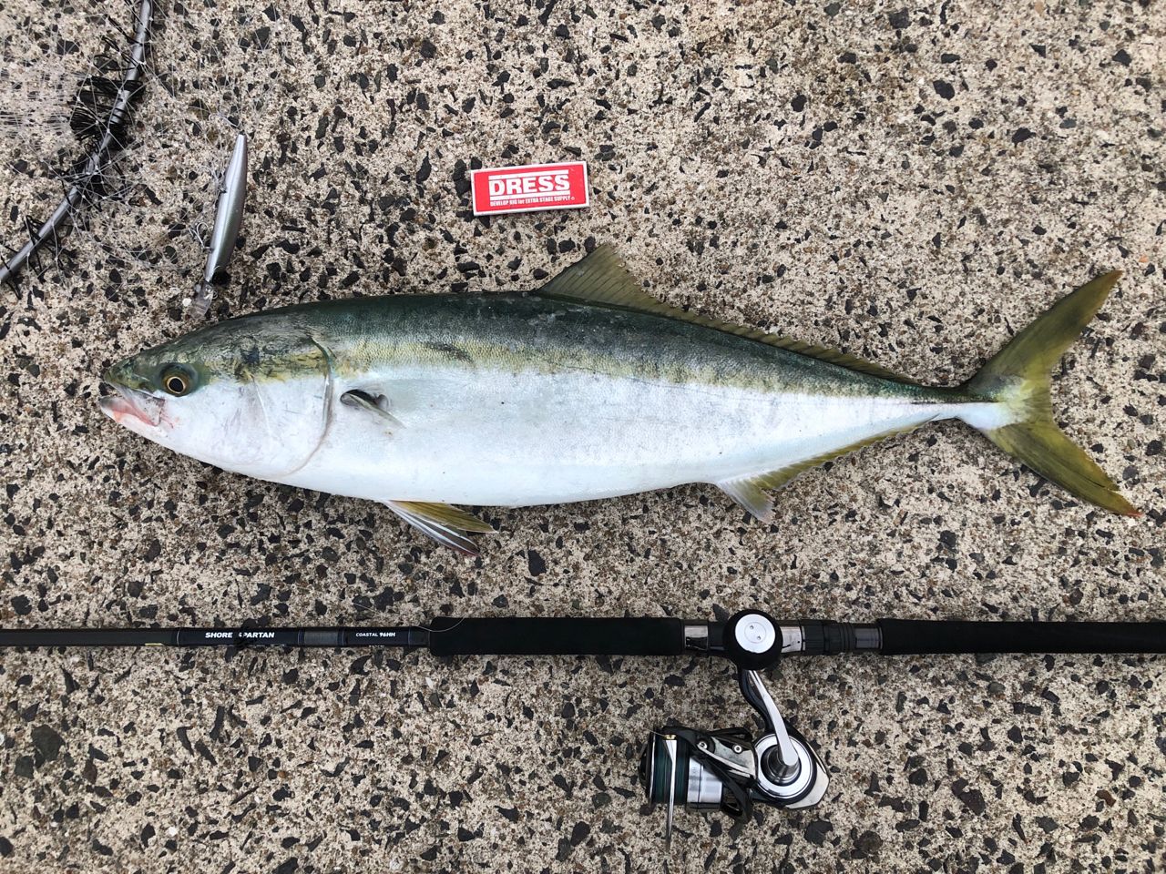 DAIWA 19セルテート LT5000D-XHのインプレ一覧 | 本音の口コミが集まる