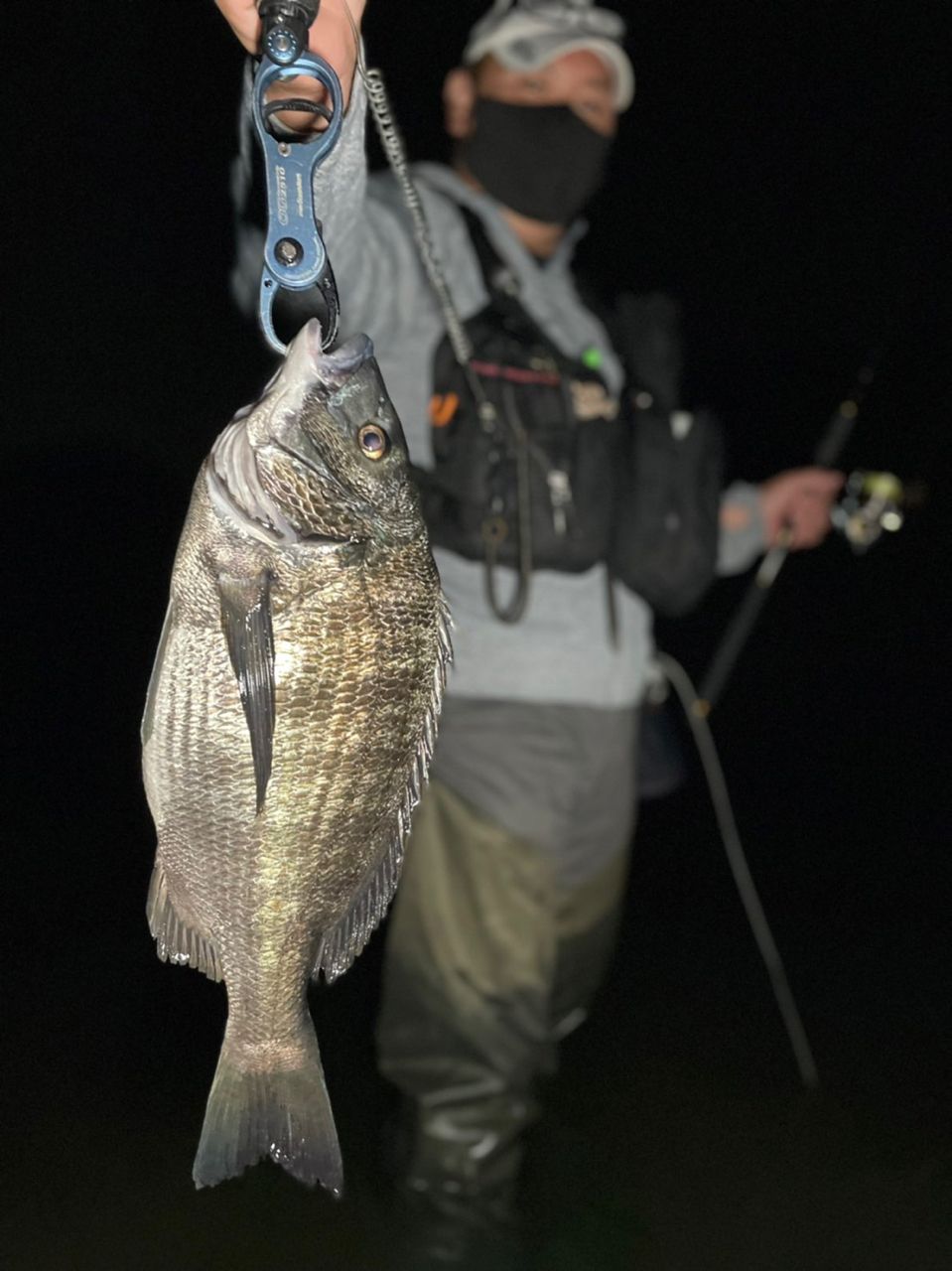 DAIWA 19セルテート LT2500S-XHの最安値・インプレ・釣果 | 本音の