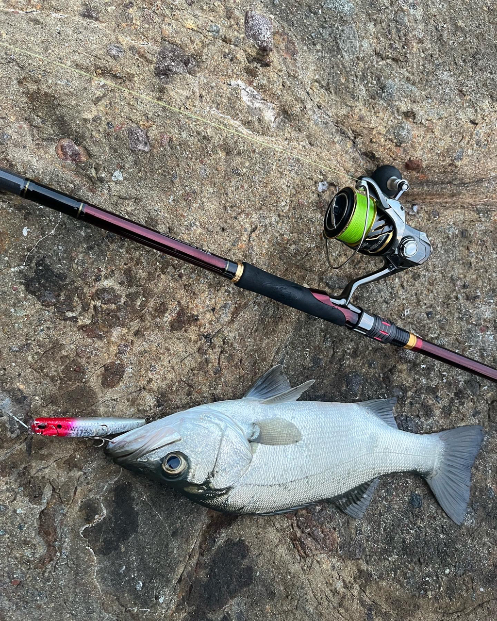 DAIWA 20オーバーゼア エア 109MHの最安値・インプレ・釣果