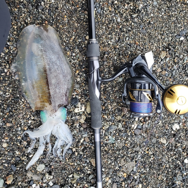 シマノ ルナミス S110M