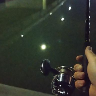 DAIWA CERTATE LT3000-XH