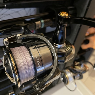 DAIWA CERTATE LT3000S-CH-DH