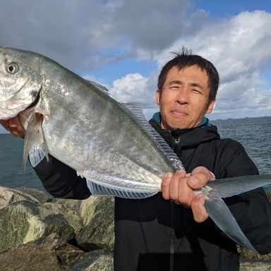 DAIWA CERTATE LT5000D-CXH