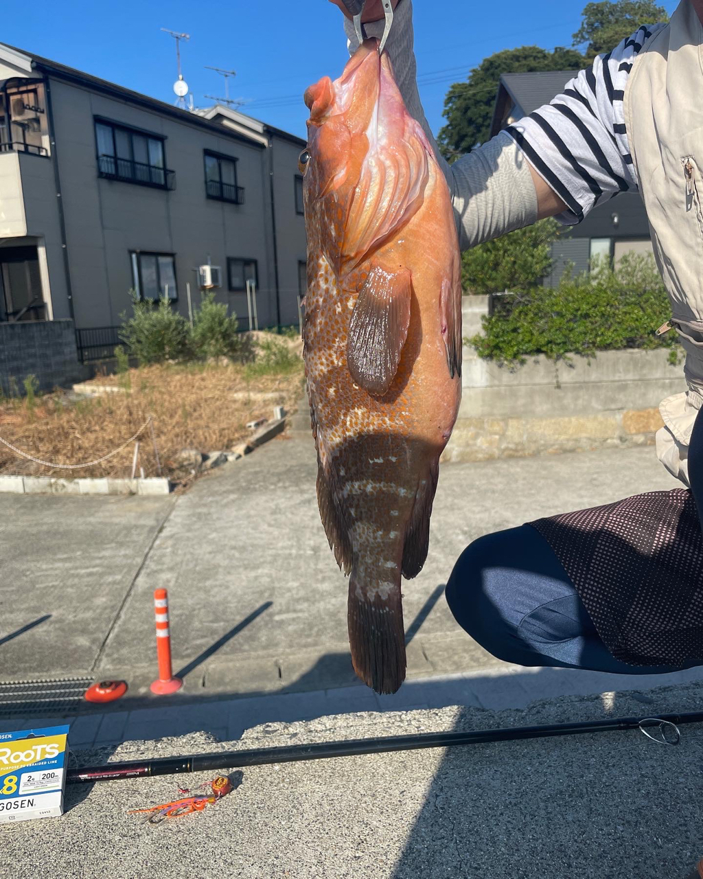 DAIWA 18ブラスト LT LT6000D-Hのインプレ一覧 | 本音の口コミが