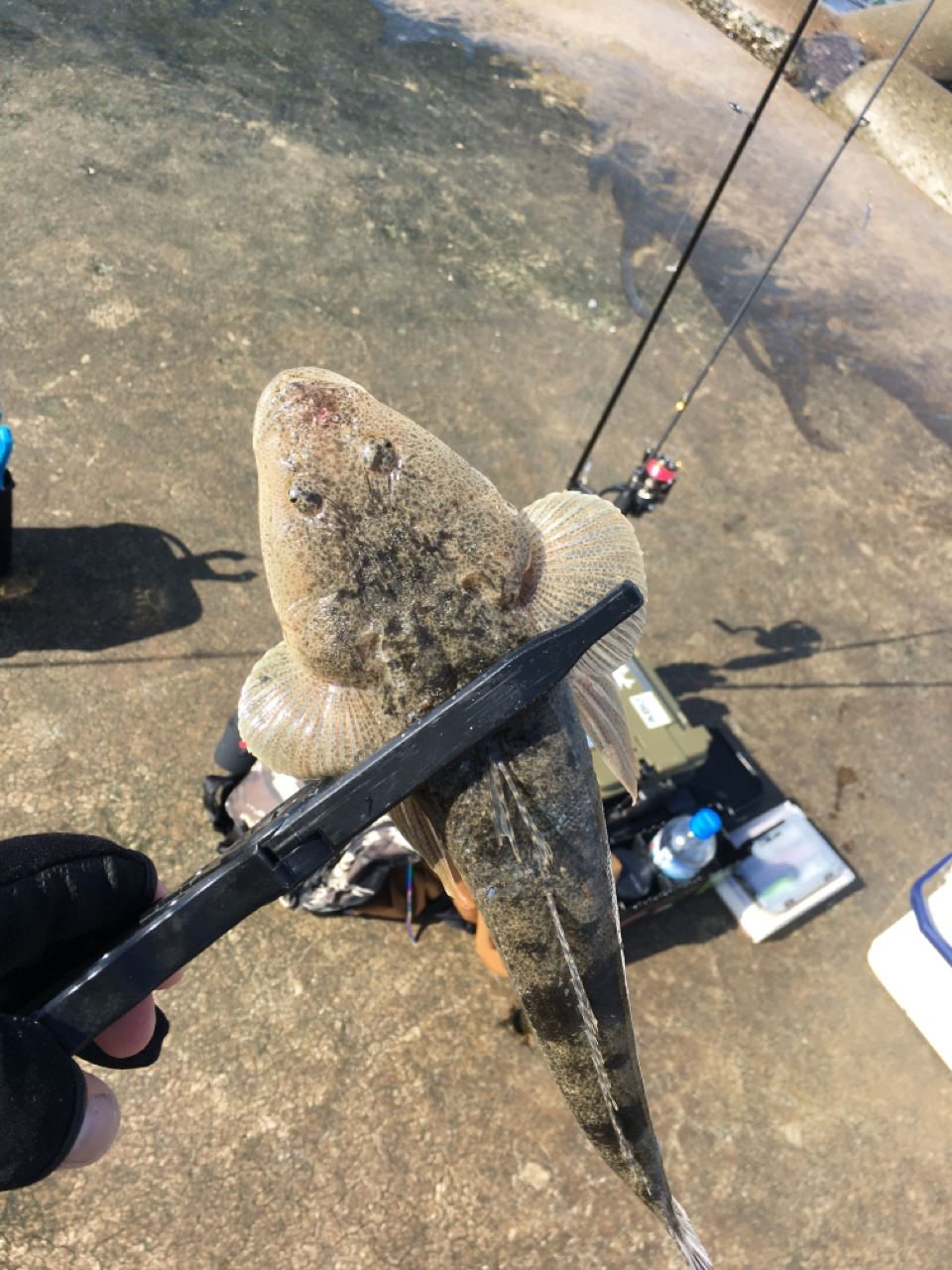 AbuGarcia ソルティーステージ プロトタイプ アジング XAJS