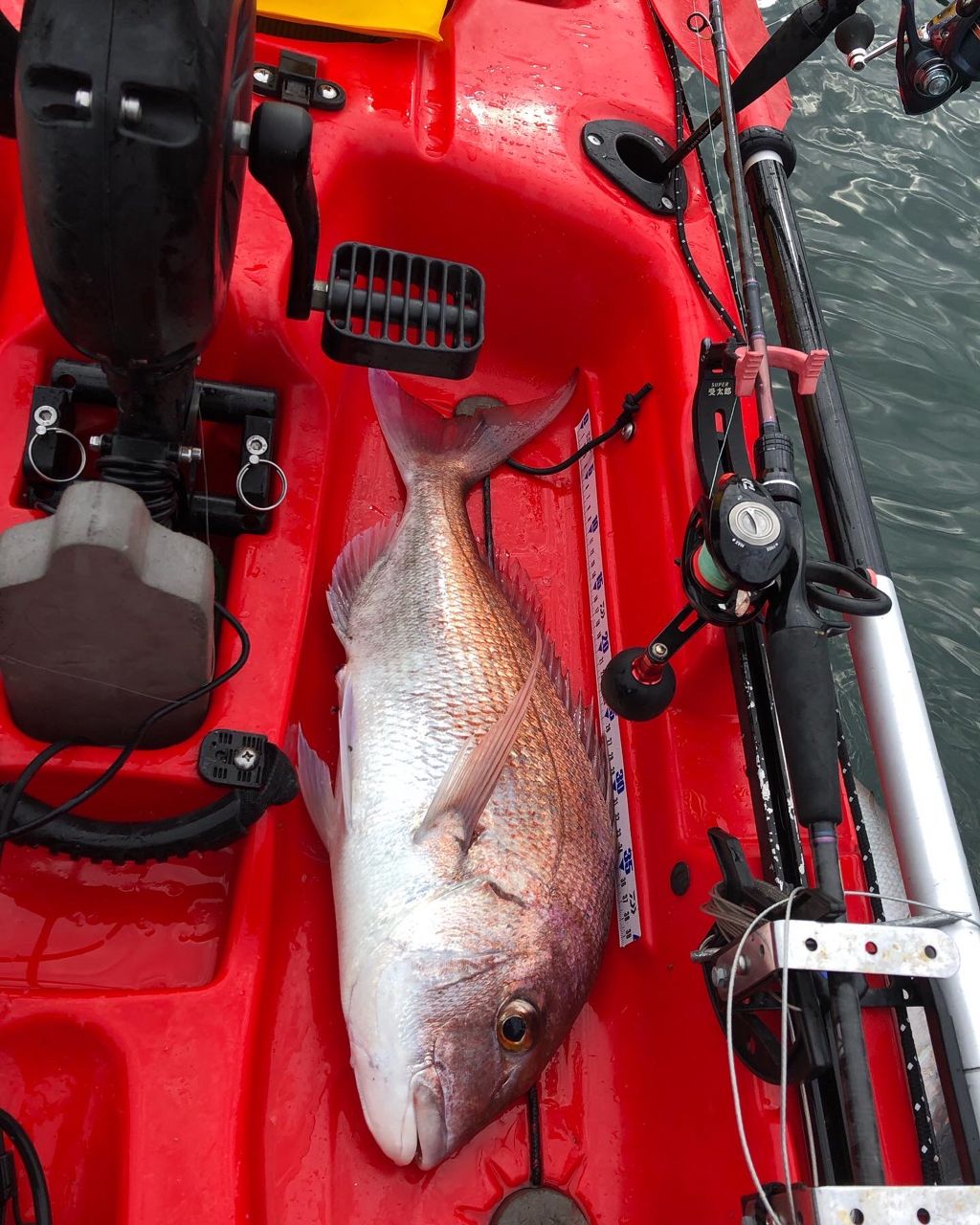 DAIWA 15紅牙 X 69XHBの最安値・インプレ・釣果 | 本音の口コミが