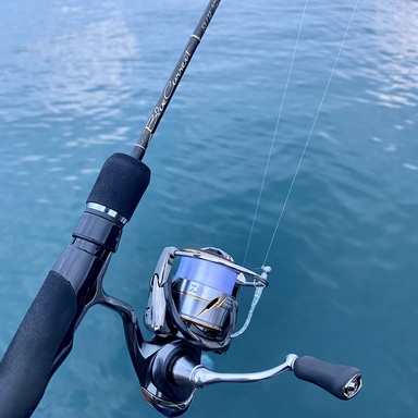 DAIWA LUVIAS FC LT2000S