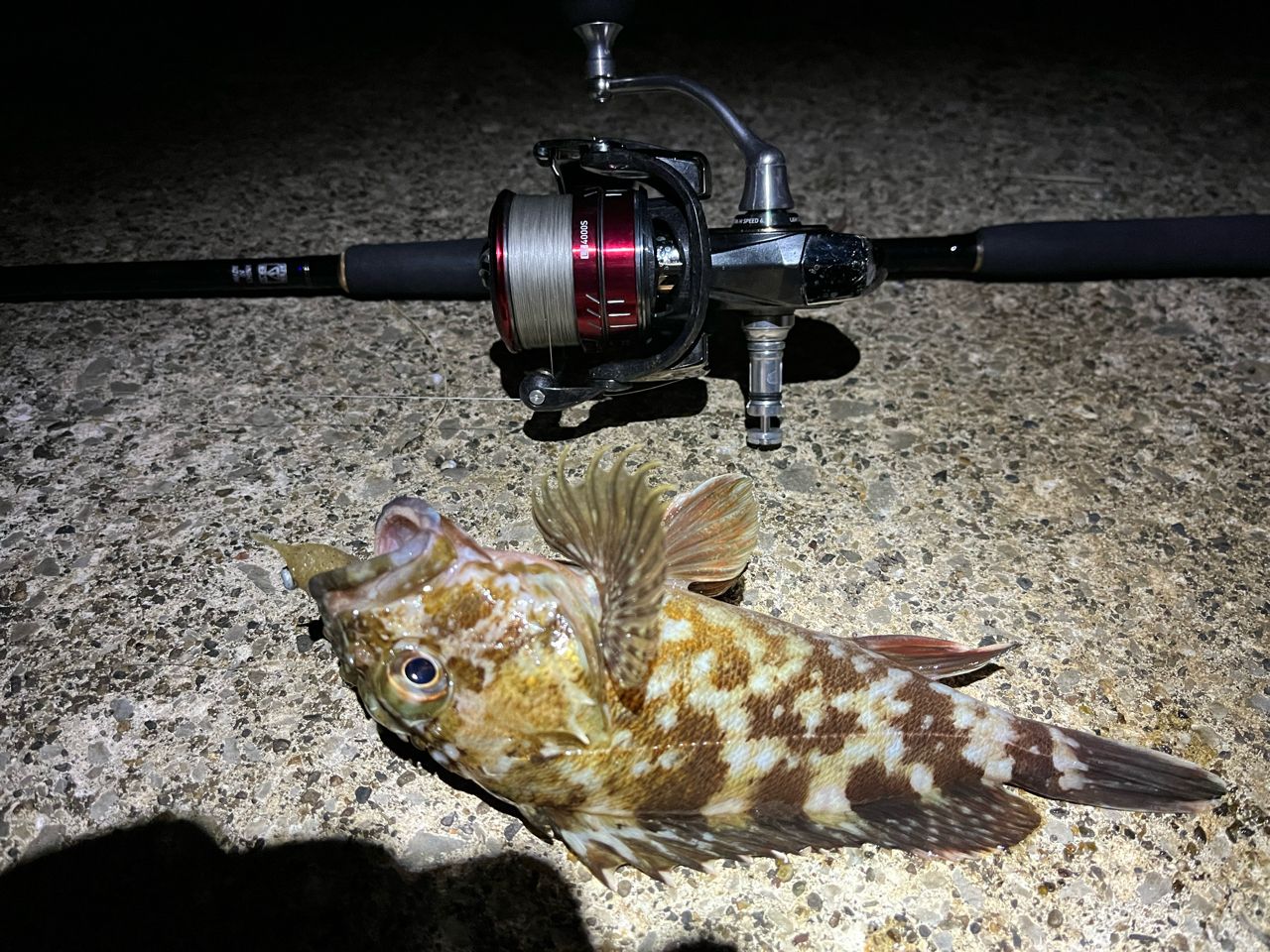 DAIWA 20ルビアス LT4000-CXHのインプレ一覧 | 本音の口コミが集まる