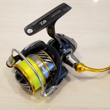 DAIWA REVROS LT3000-CH