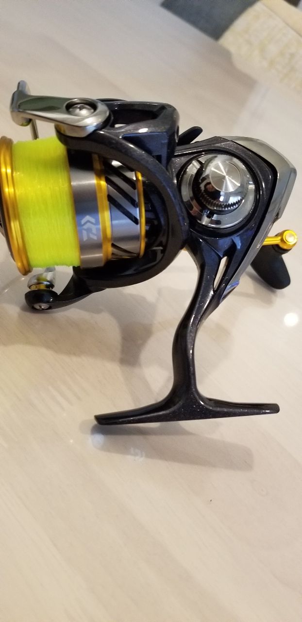 DAIWA 20レブロス LT3000-CHのインプレ一覧 | 本音の口コミが集まる