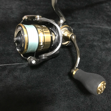 DAIWA LUVIAS FC LT2000S