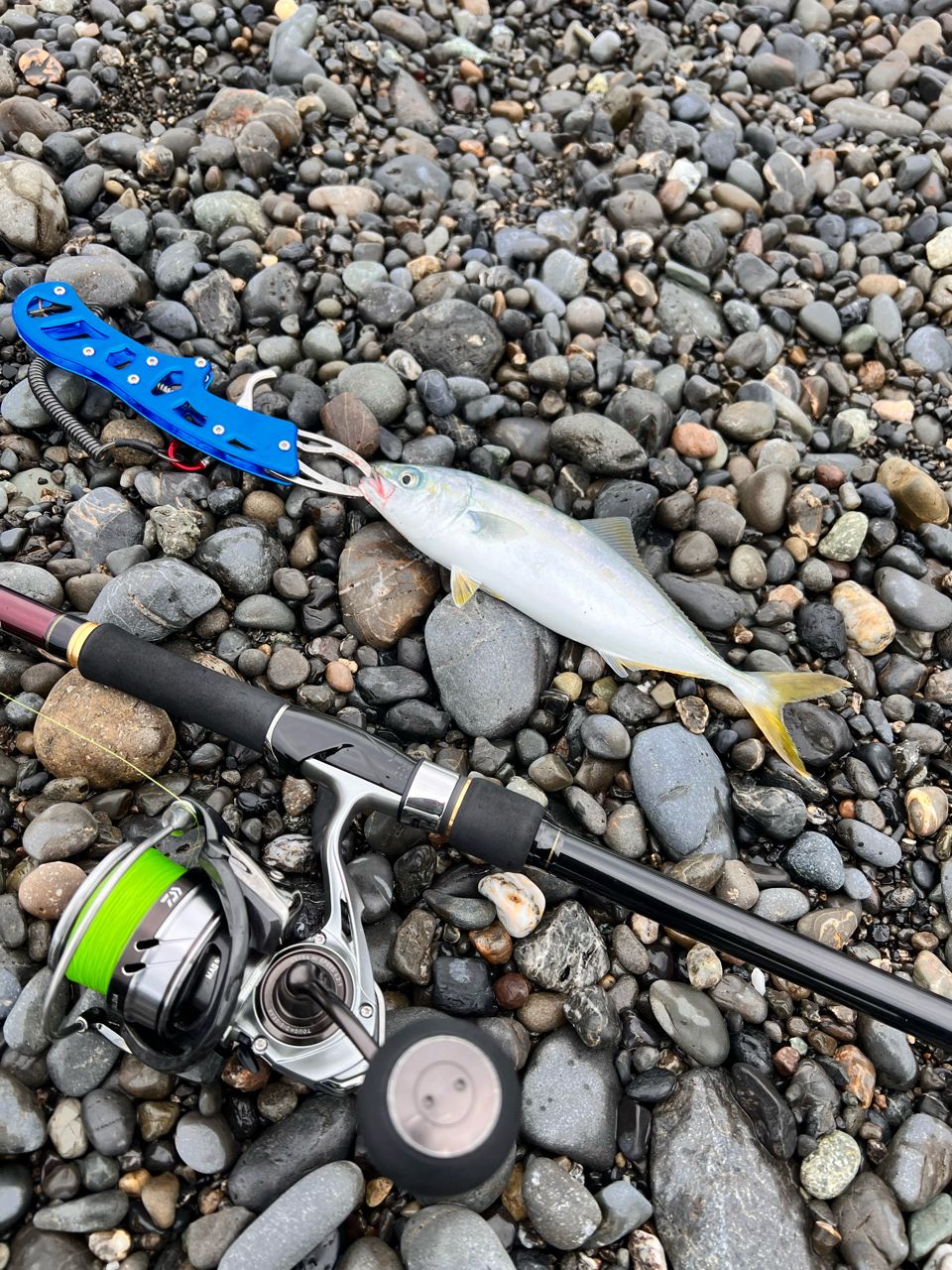 DAIWA 20オーバーゼア エア 103Mの最安値・インプレ・釣果 | 本音の