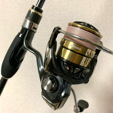 DAIWA LUVIAS FC LT2000S-XH