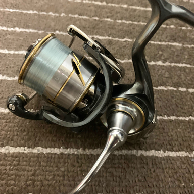 DAIWA LUVIAS FC LT2000S