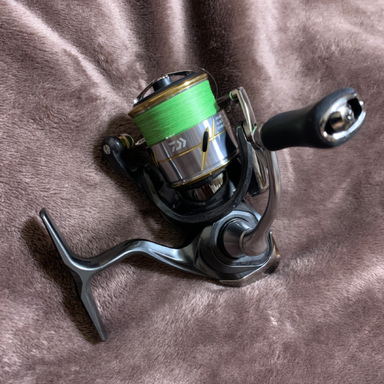 DAIWA LUVIAS FC LT2000S