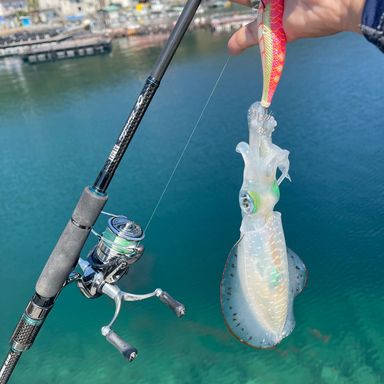 DAIWA EMERALDAS STOIST AGS 88LM-S