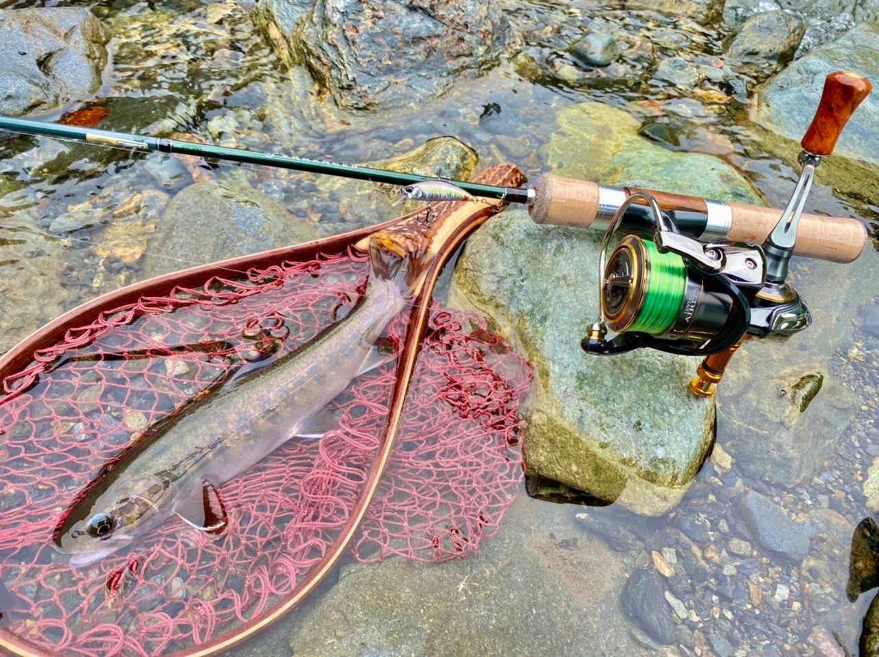 DAIWA 21ルビアス エアリティ FC LT2000S-Hの最安値・インプレ・釣果