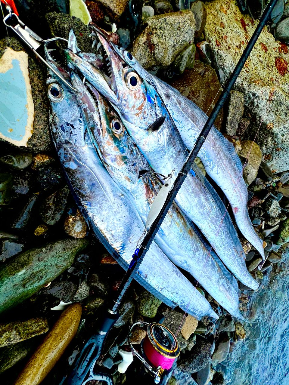 DAIWA 21ルビアス エアリティ LT3000S-CXHの最安値・インプレ・釣果