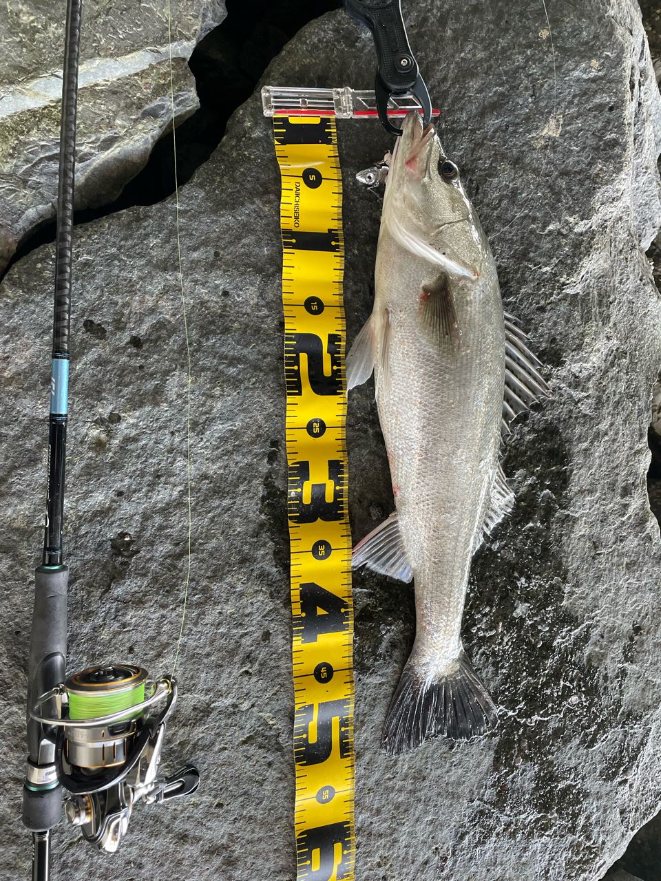 DAIWA 21ルビアス エアリティ LT3000S-CXHの最安値・インプレ