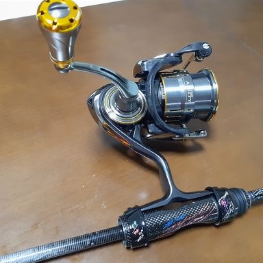 DAIWA LUVIAS AIRITY FC LT2000S-P