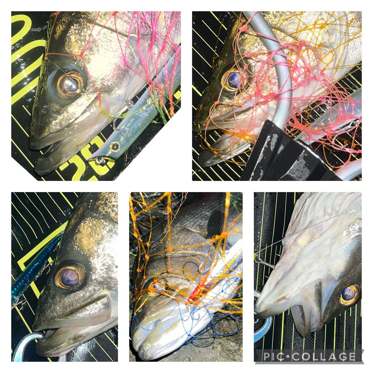 APIA フージン' Z GENEROUS 94Mの最安値・インプレ・釣果