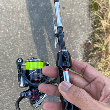 DAIWA 19月下美人 AIR AGS AIR AGS A510UL-S