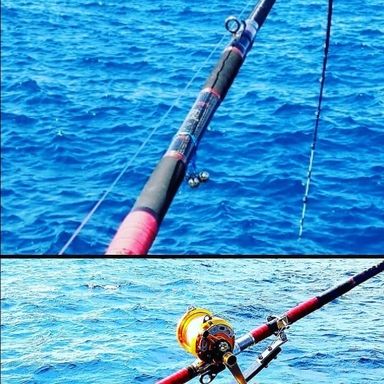 Rod.com Gajou-Kue 480H