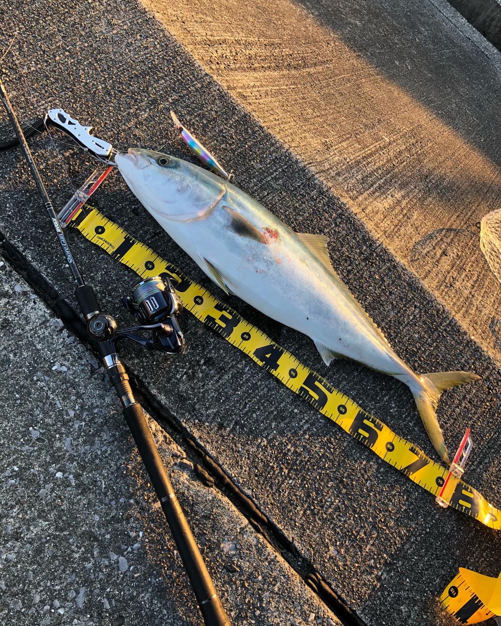 Angler's Republic ショアガン エボルブ SFSGS-96MH・BLの最 Angler's Republic ショアガン エボルブ SFSGS-96MH・BLの最