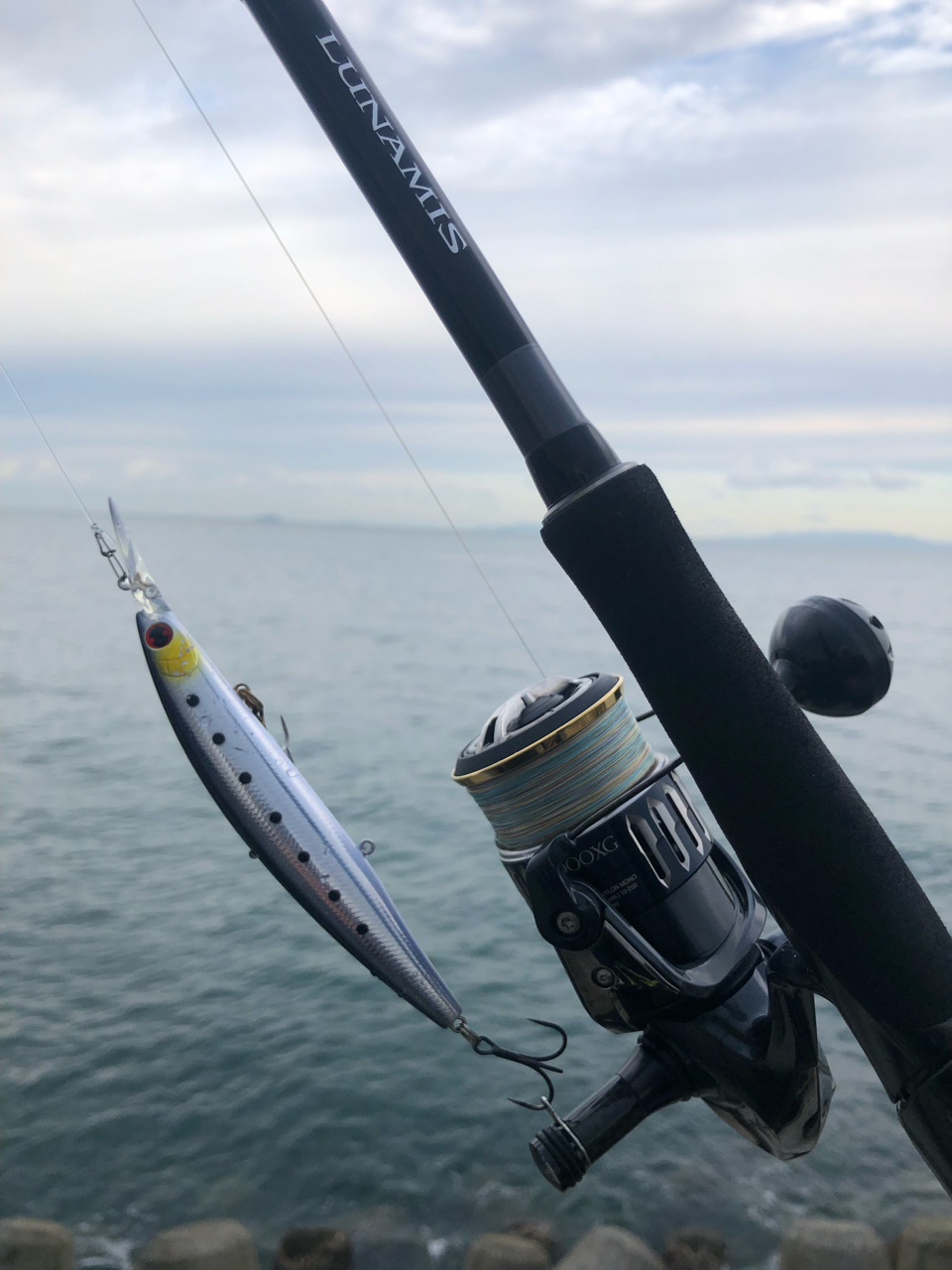 Angler's Republic ショアガン エボルブ SFSGS-96MH・BLの最