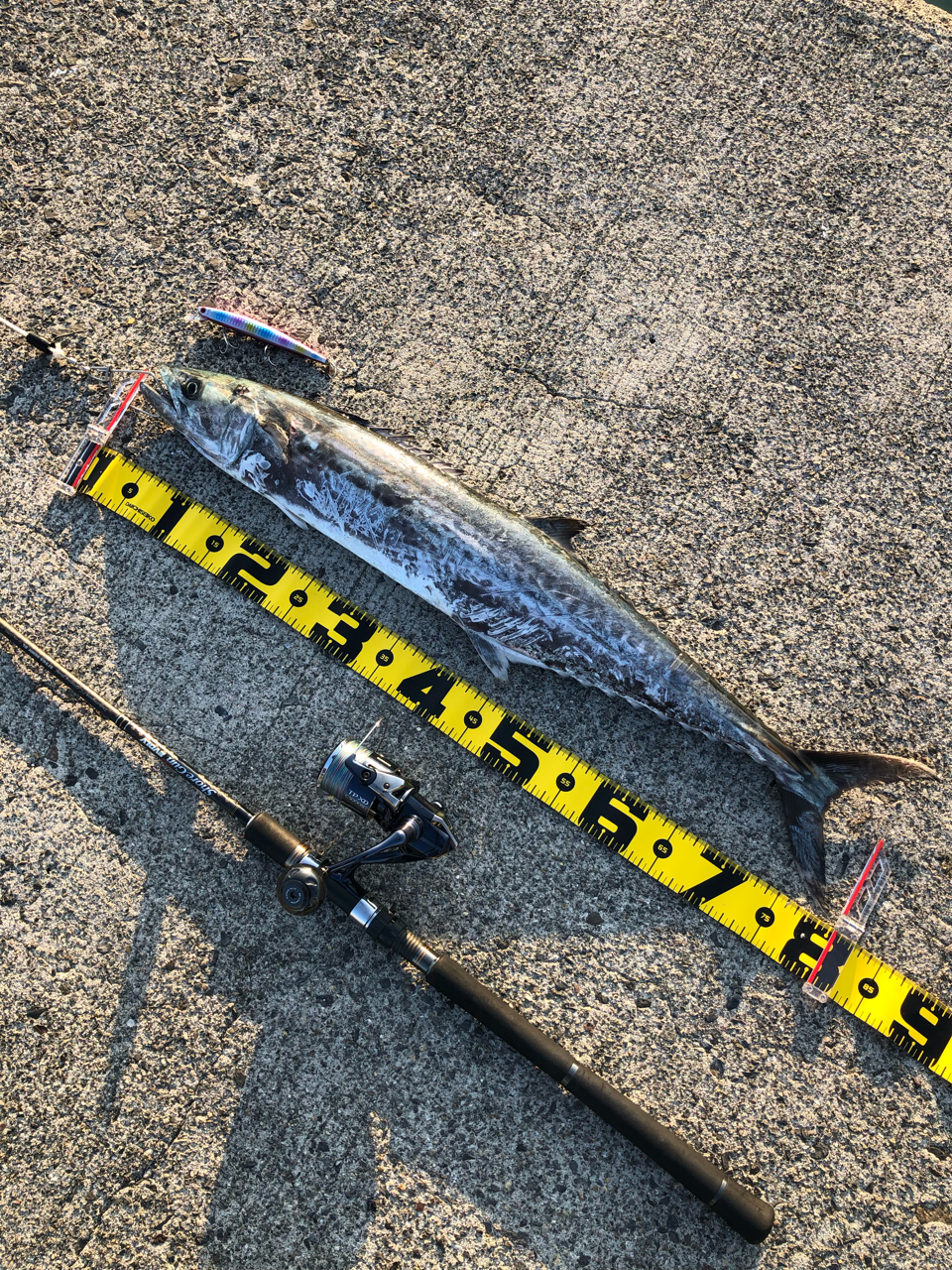 Angler's Republic ショアガン エボルブ SFSGS-96MH・BLの最 Angler's Republic ショアガン エボルブ SFSGS-96MH・BLの最