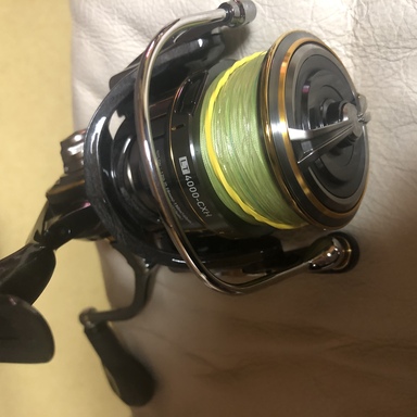 DAIWA LUVIAS AIRITY LT4000-CXH